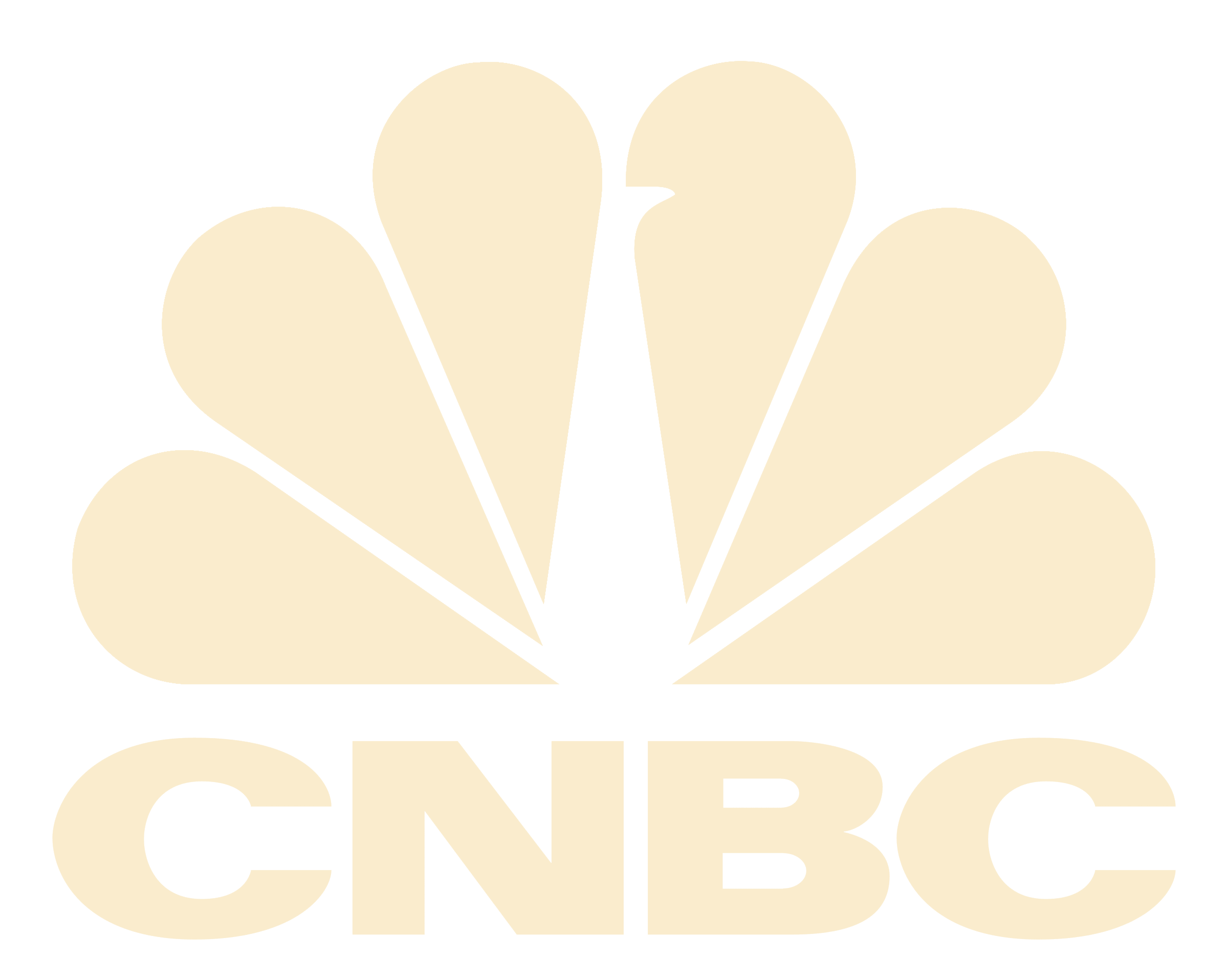 CNBC Logo