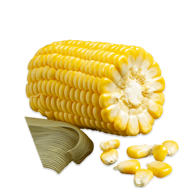 Corn