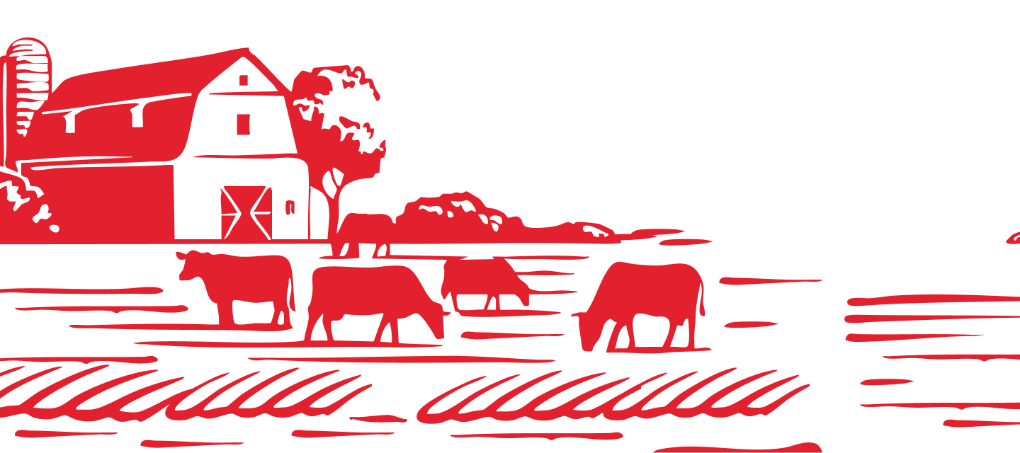 Farm illustration